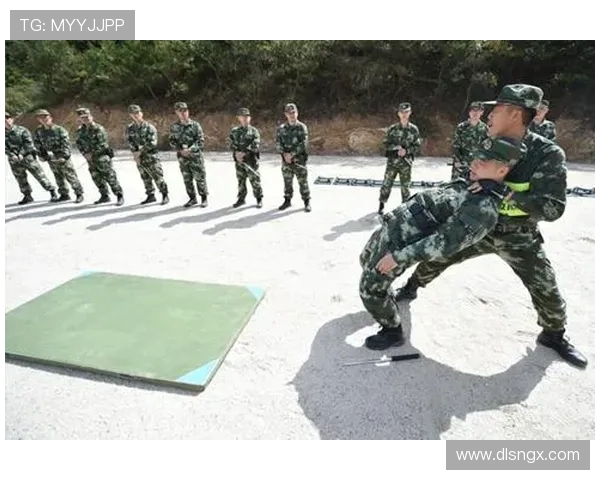 上海攀岩队快攻战术解析与实战应用探讨