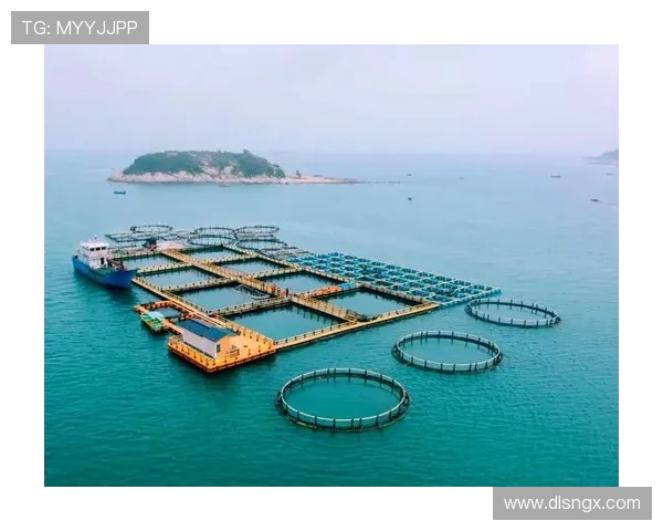 青岛国信水产打造现代海洋牧场助力海洋经济高质量发展